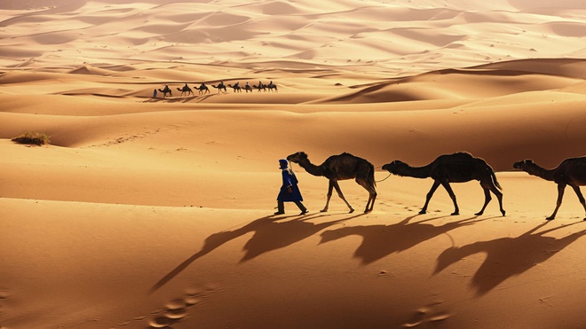 Người cổ đại đã tạo ra sa mạc Sahara?